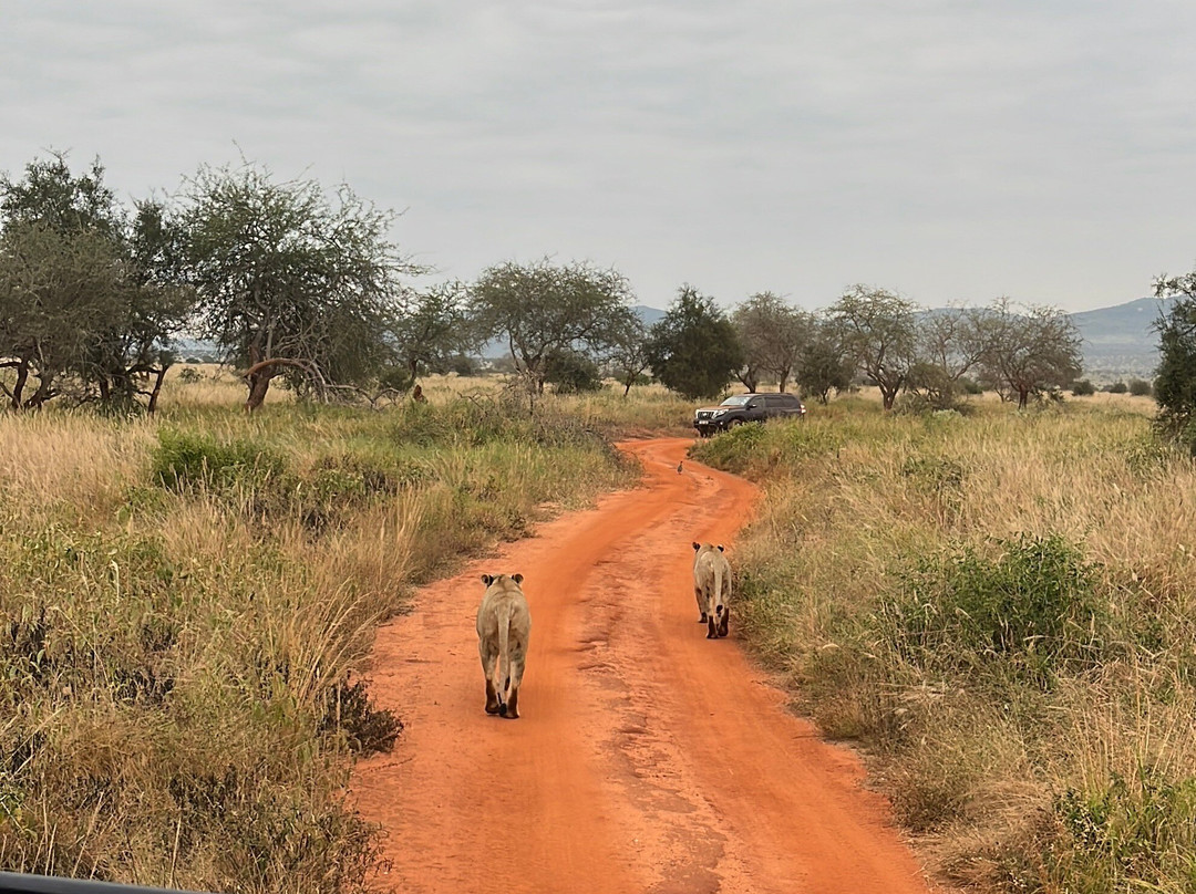 KLM Tours & Safaris-山祖必去景点