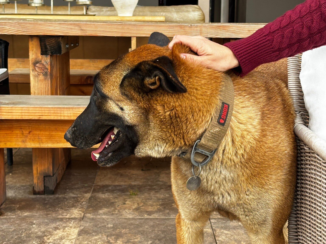 Las Nubes Bodegas y Viñedos-Valle de Guadalupe必去景点