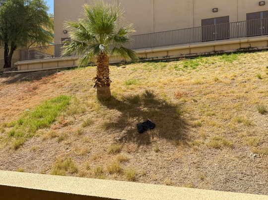 BlueWater Resort and Casino主图