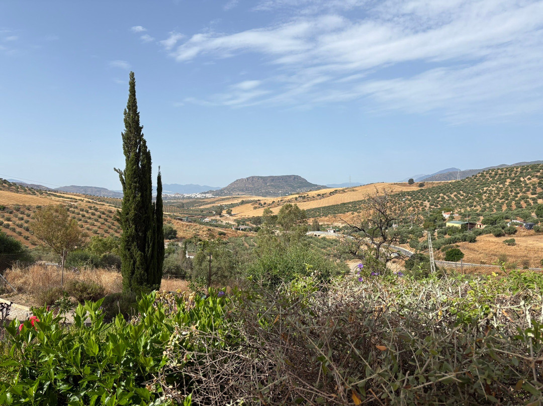 巴尔韦德庄园酒店主图