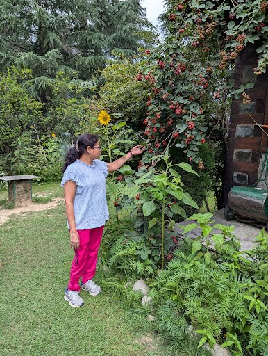 The Sonaugi Homestead主图