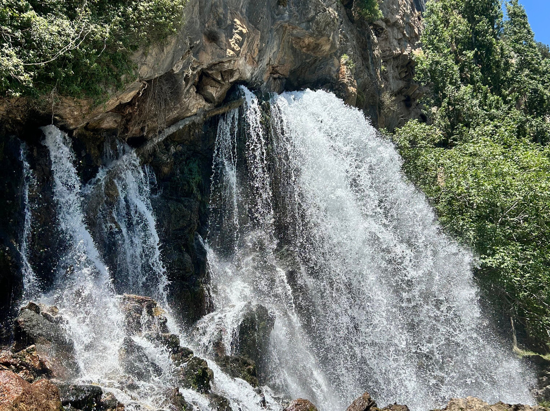 Kapuzbasi Selale Motel主图