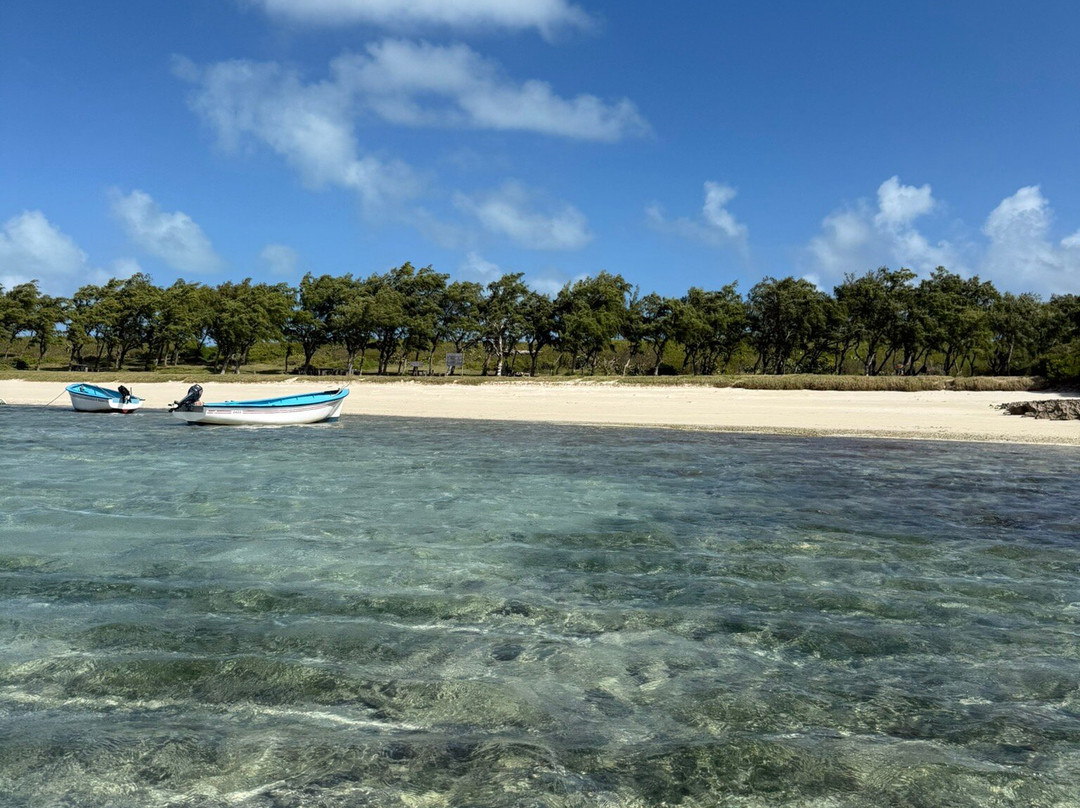 Cat Island (Ile aux chats)-罗德里格斯岛必去景点