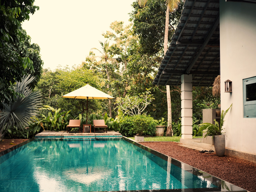 The Jungle Loft Galle主图