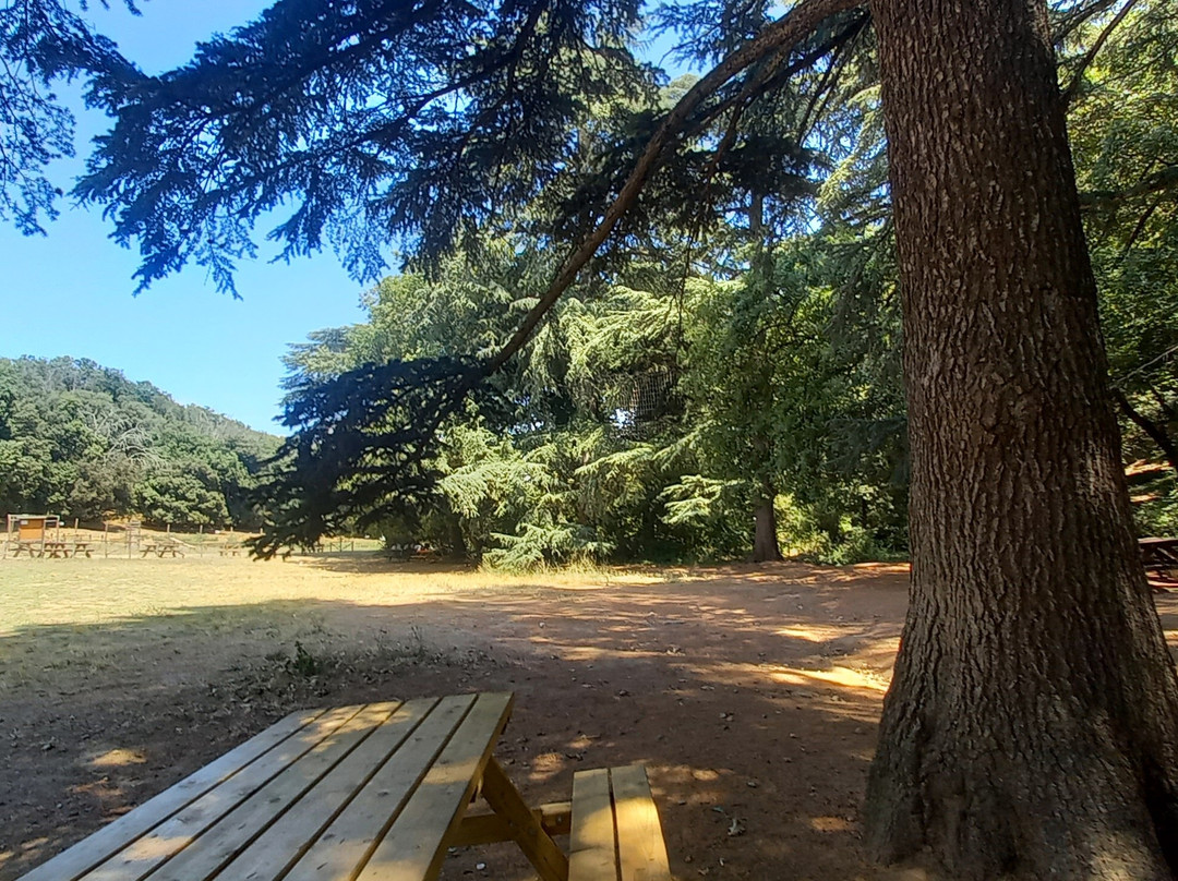 Parco Avventura Il Giardino Sospeso-Riparbella必去景点