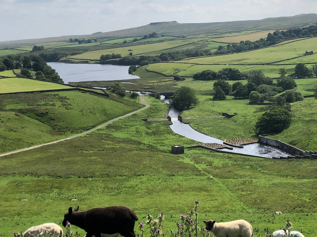 Hannah's Meadow-Barnard Castle必去景点