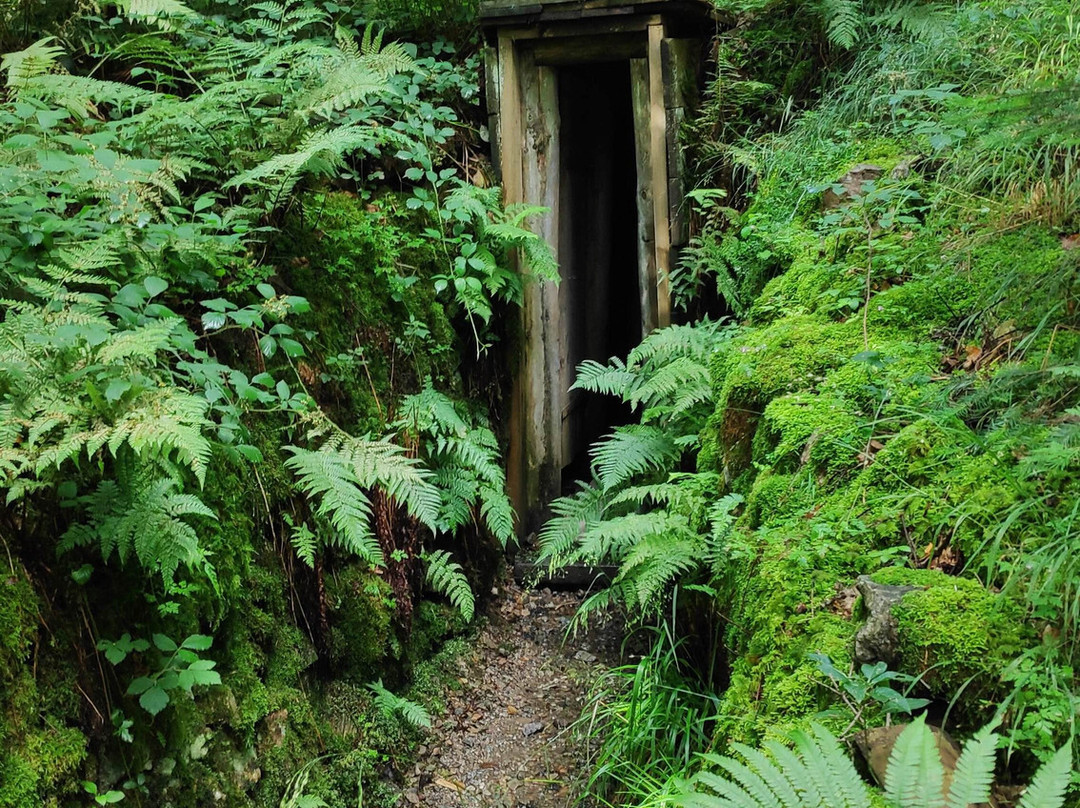 L'Aventure des Mines-Sainte-Marie-aux-Mines必去景点