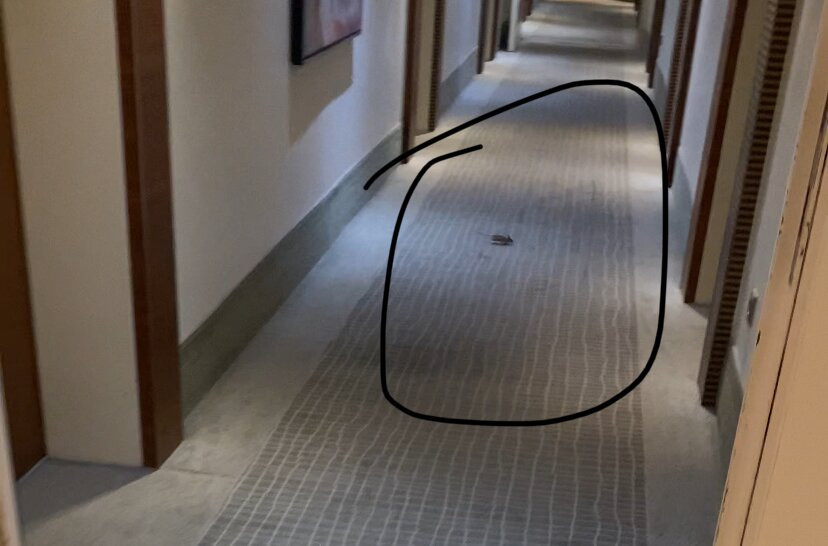 慕尼黑弗莱辛美居酒店主图