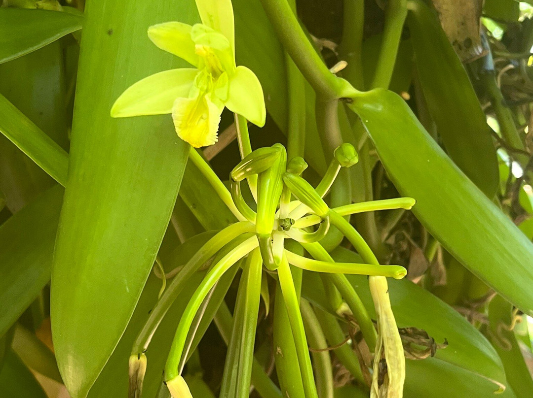Hilo Shark Tours-帕派科欧必去景点