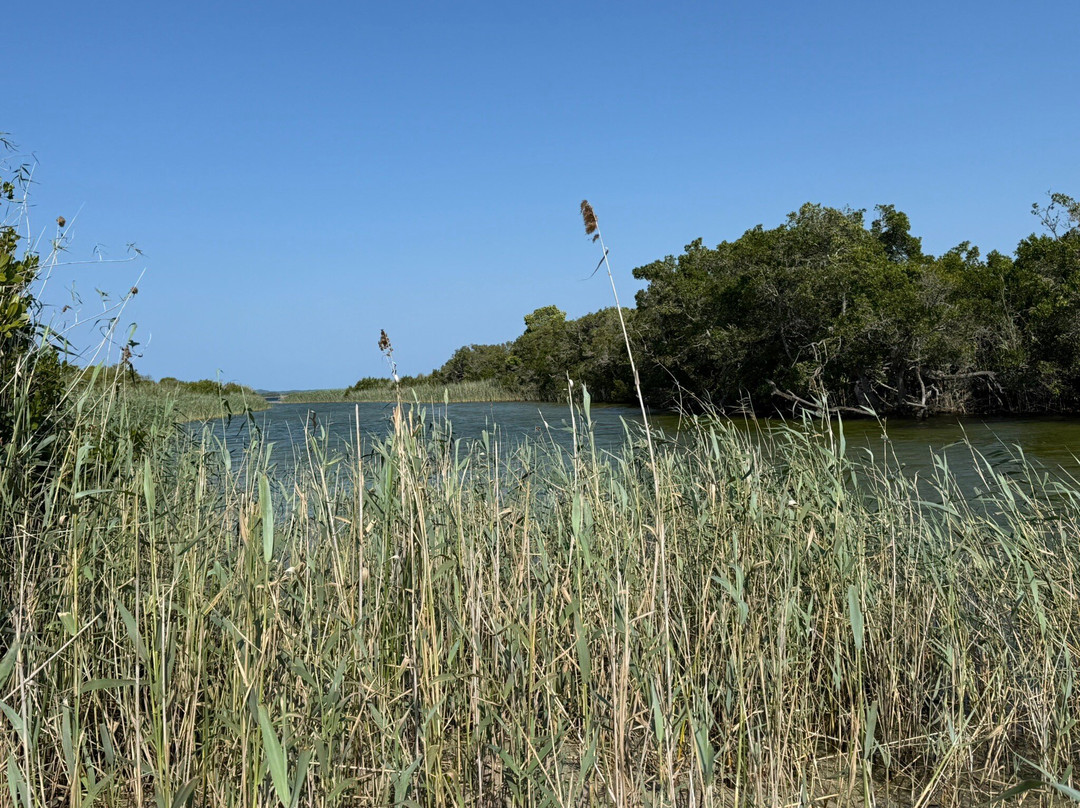 Kosi Bay Nature Reserve-Kosi Bay必去景点