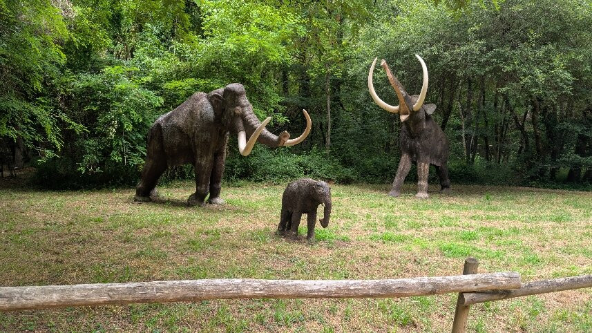 Prehisto Parc-Tursac必去景点