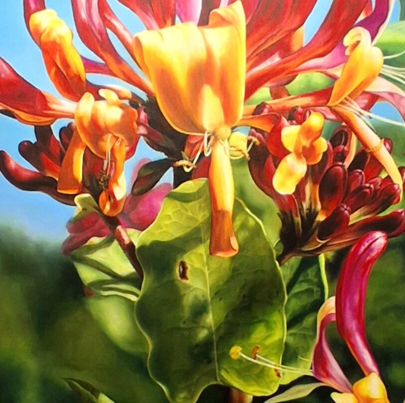 Museo Casa Ibanez-Olula del Rio必去景点