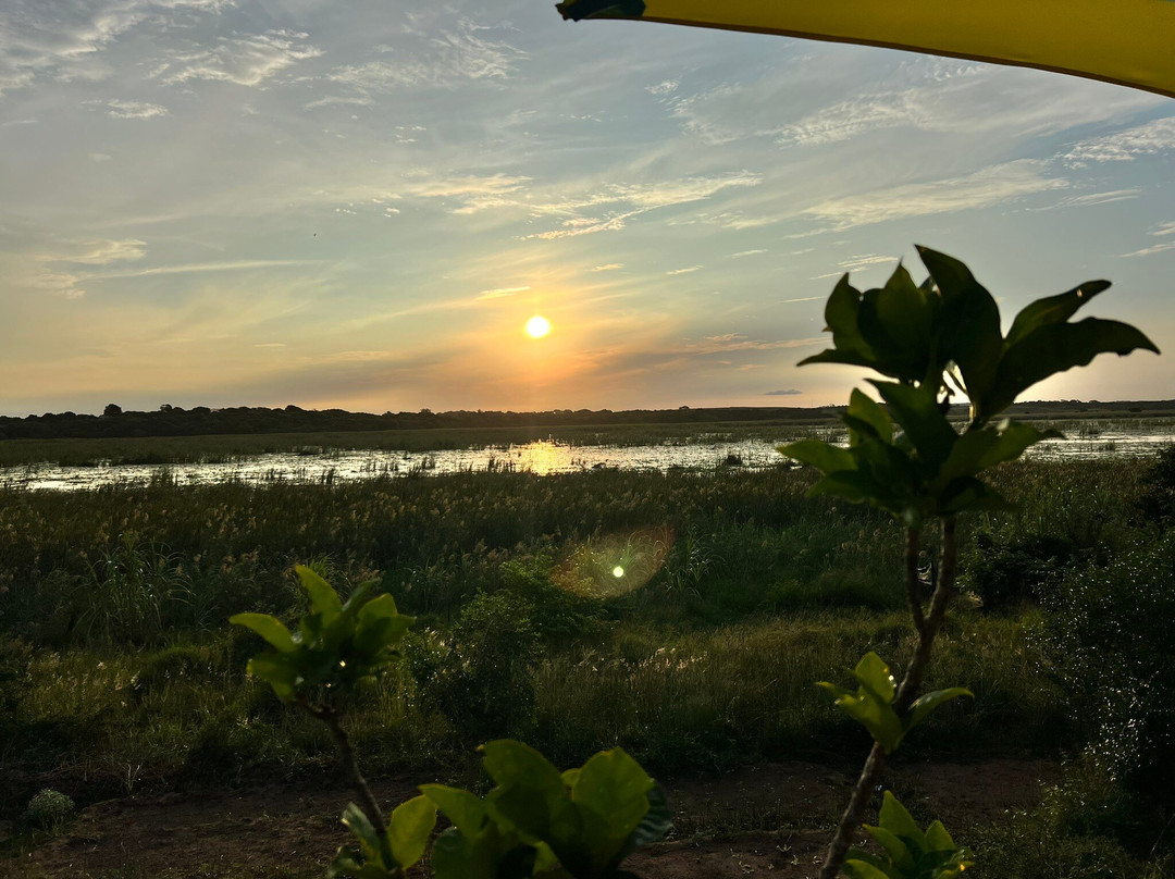 No Food for Lazy Man Transport-托佛必去景点