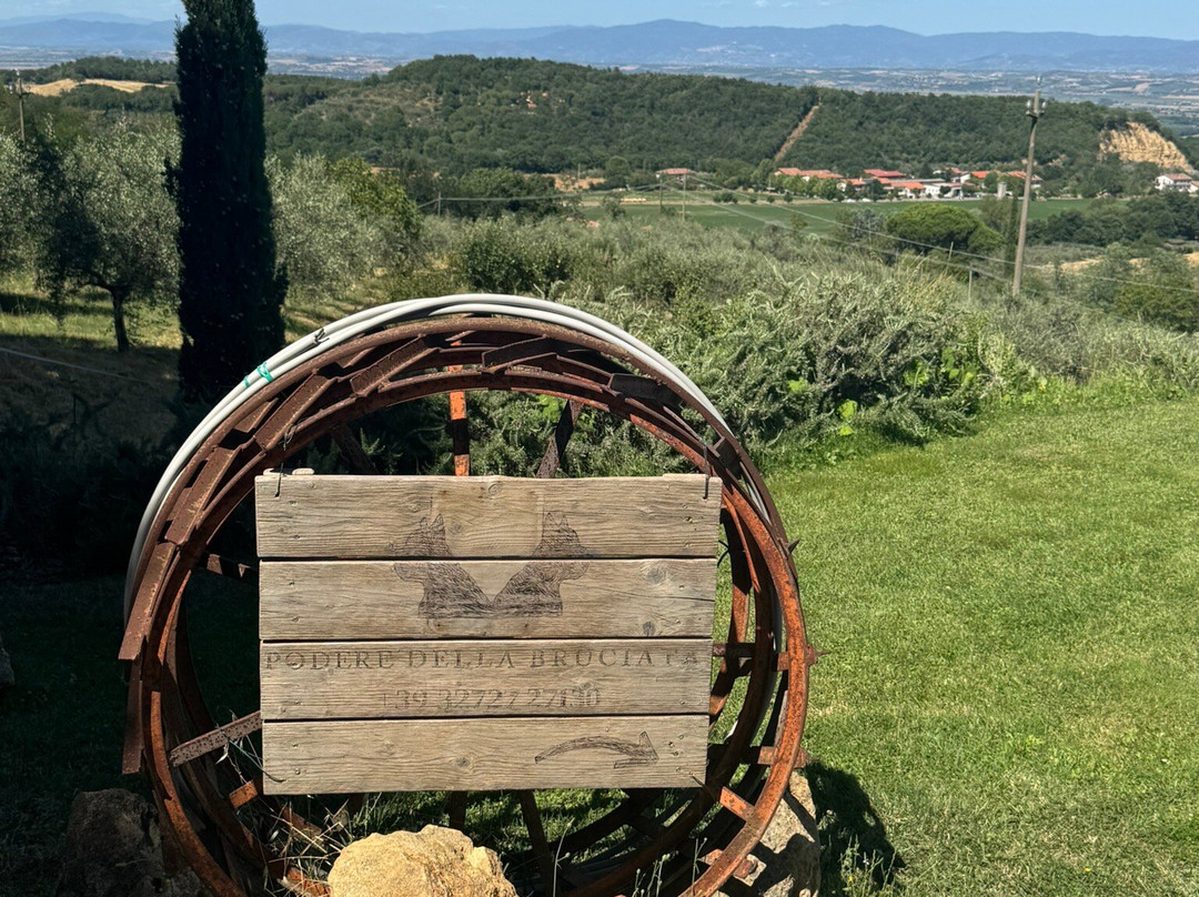 Podere Della Bruciata Winery-蒙特普尔恰诺必去景点