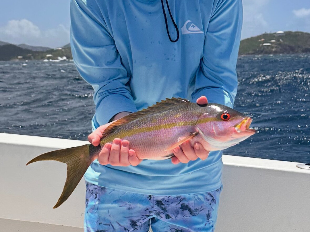 Capt. Alvin Fishing Charters-圣 托马斯必去景点