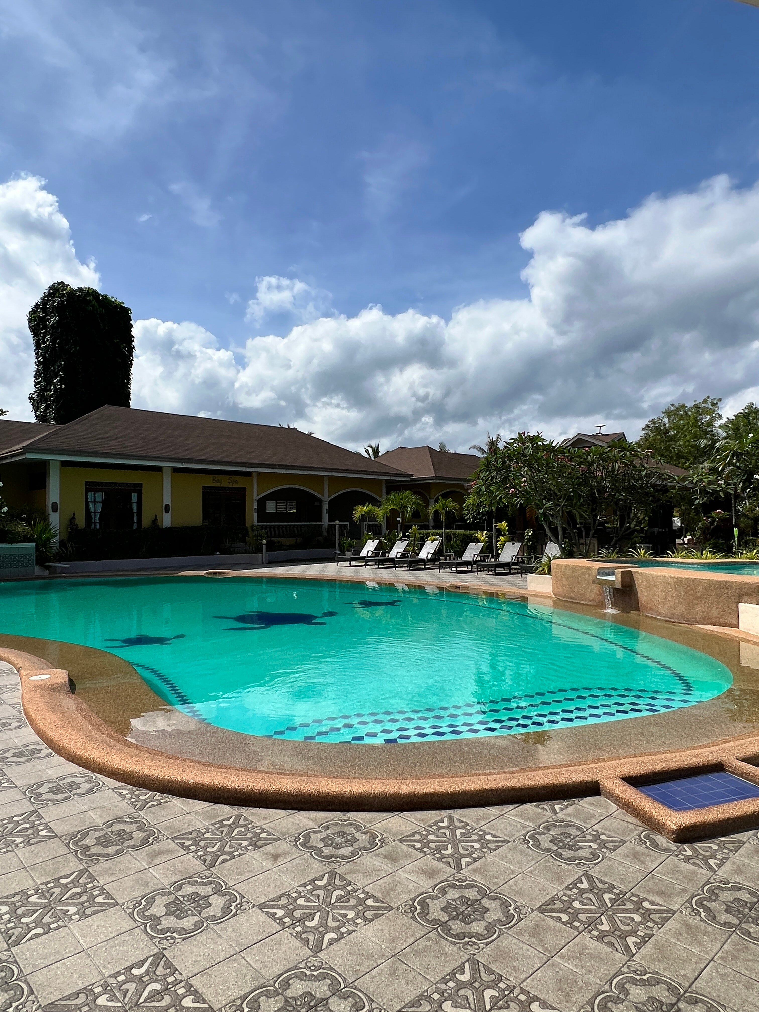 海龟湾潜水度假村-泳池