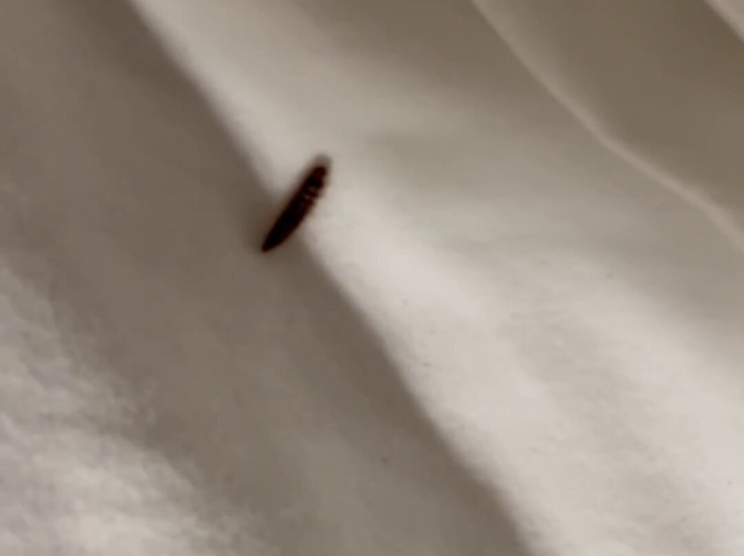 Hampton Inn Rutland主图