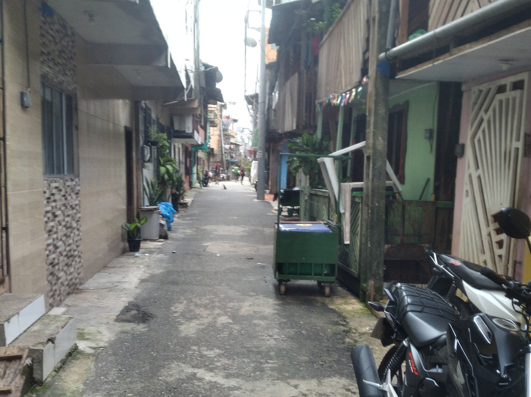 Portal da Amazonia-贝伦必去景点