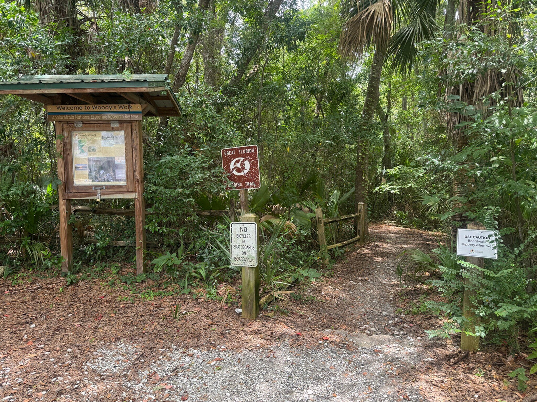 Scipio Creek Boardwalk