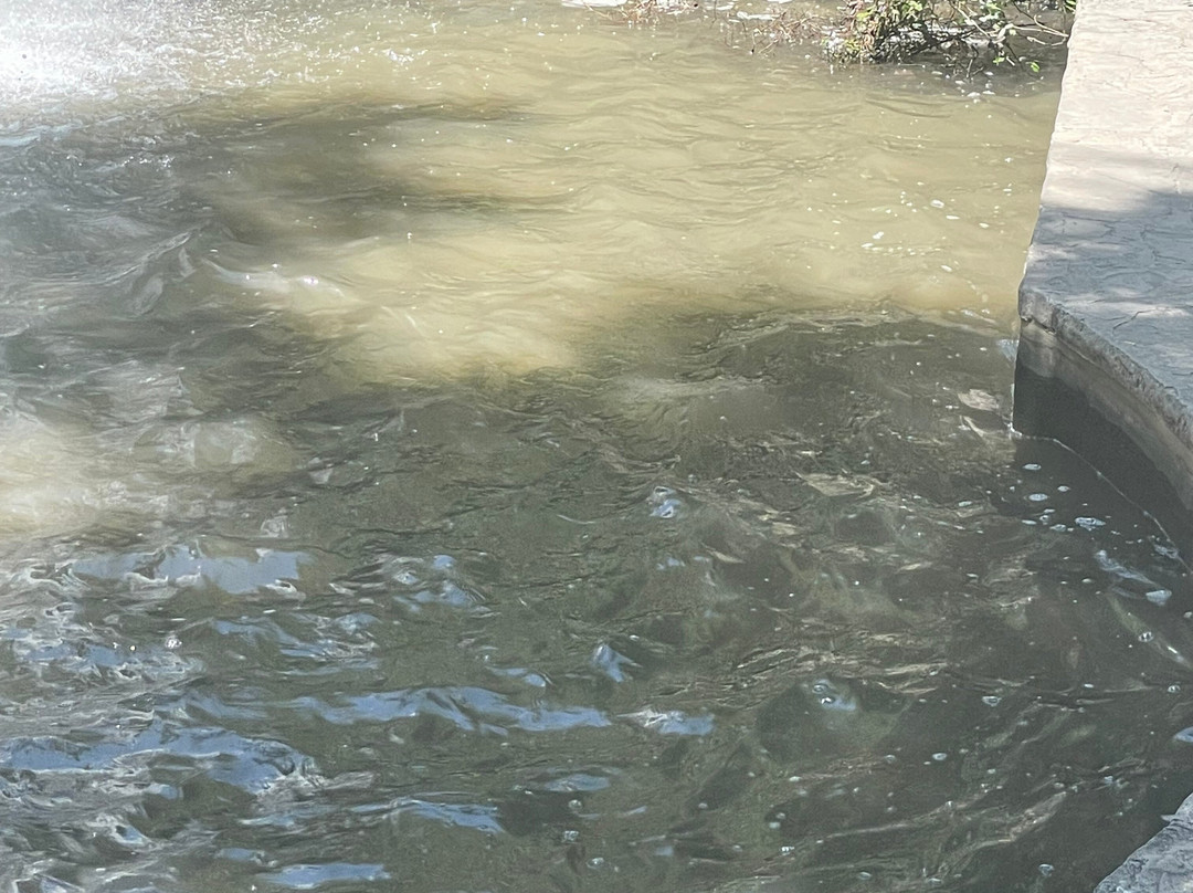 Font de la Favara-拉努西亚必去景点