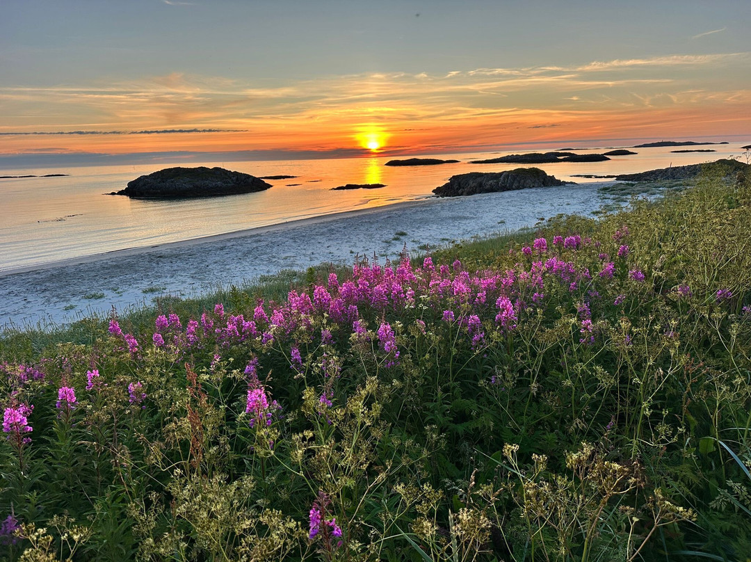 Andoya-Andoy Municipality必去景点