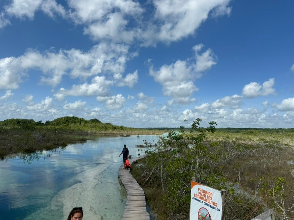 Stromatolites in Bacalar Rapids-Bacalar必去景点