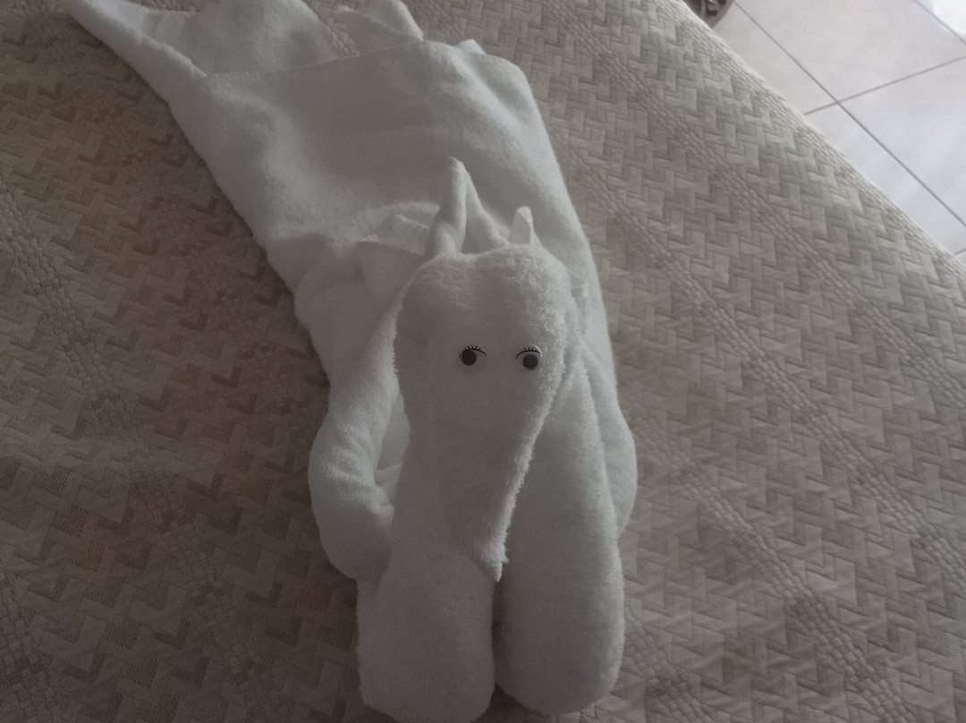 Aloha Park Hotel主图