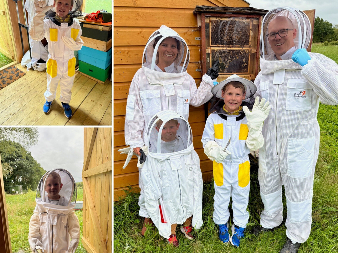 Killarney Bee Walks and Honey-基拉尼必去景点