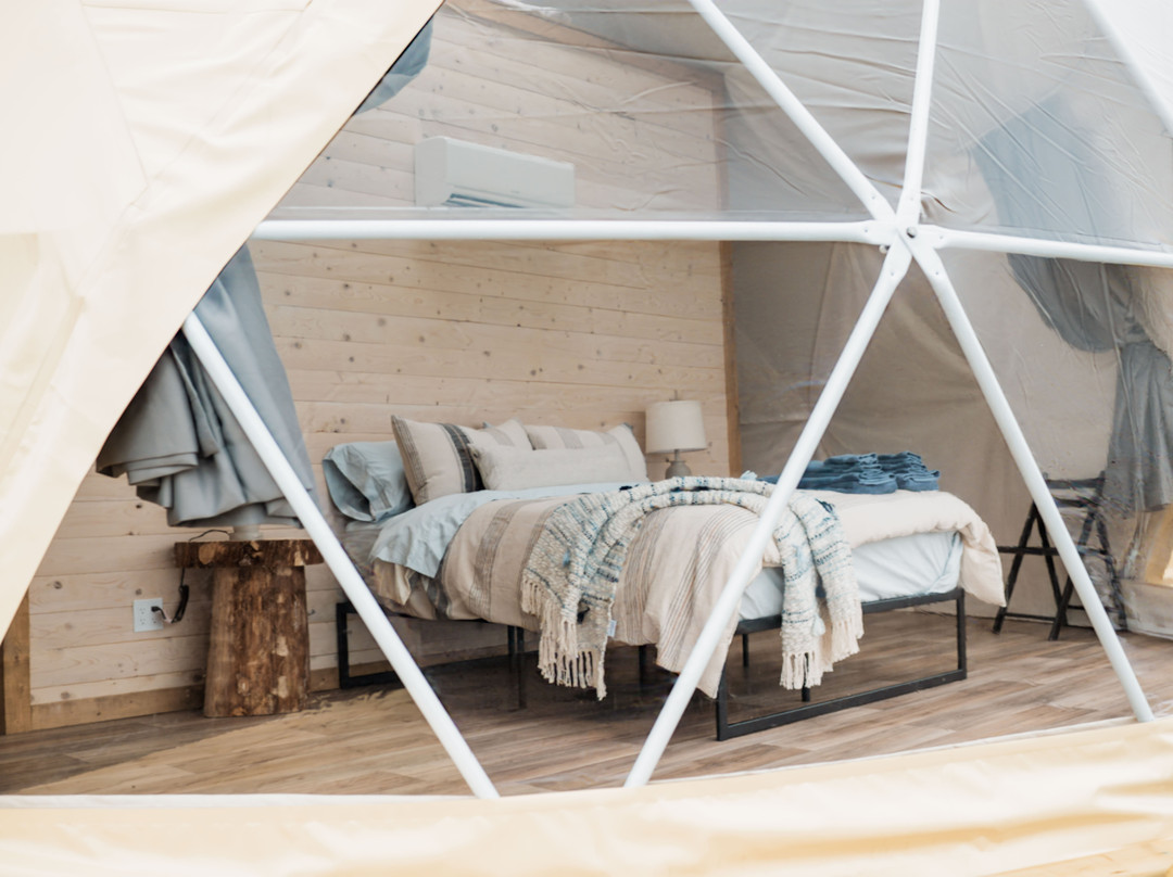 Salmon Bay Farm-Salmon Bay必去景点