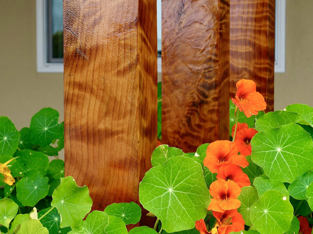 Curly Redwood Lodge主图