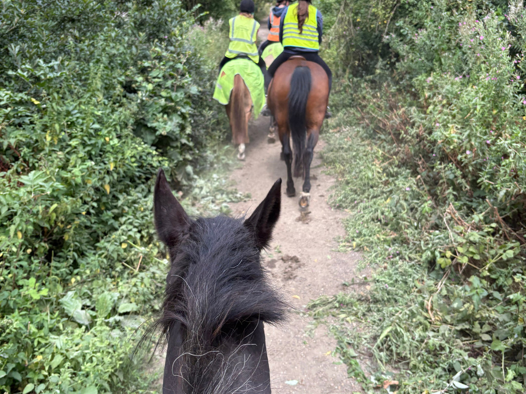 Hill Farm Stables-弗雷什沃特必去景点