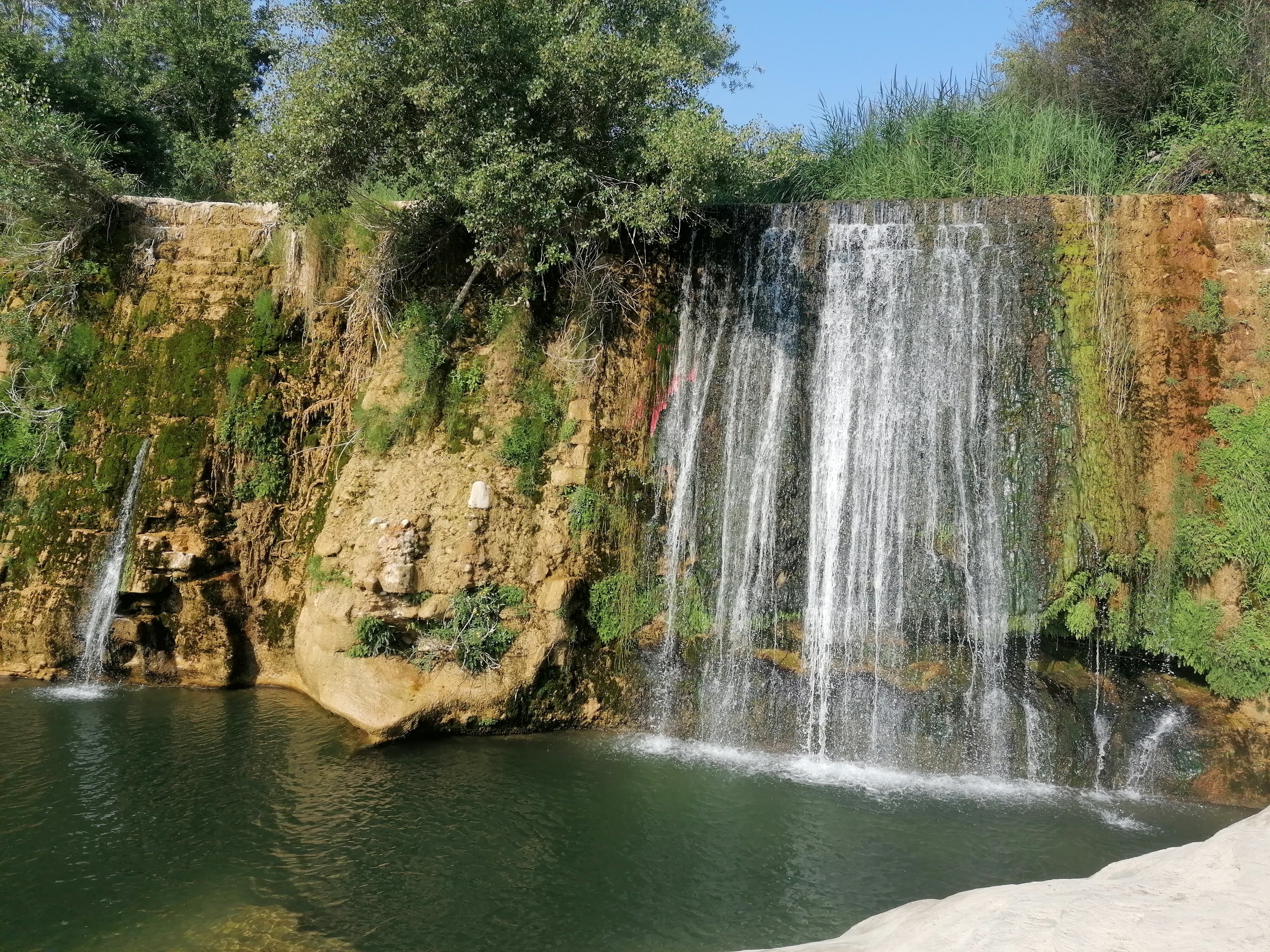 阿罗迪亚酒店-官方