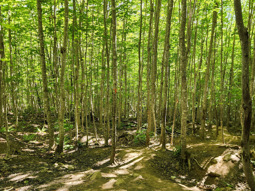 Egypt Falls-Margaree Harbour必去景点