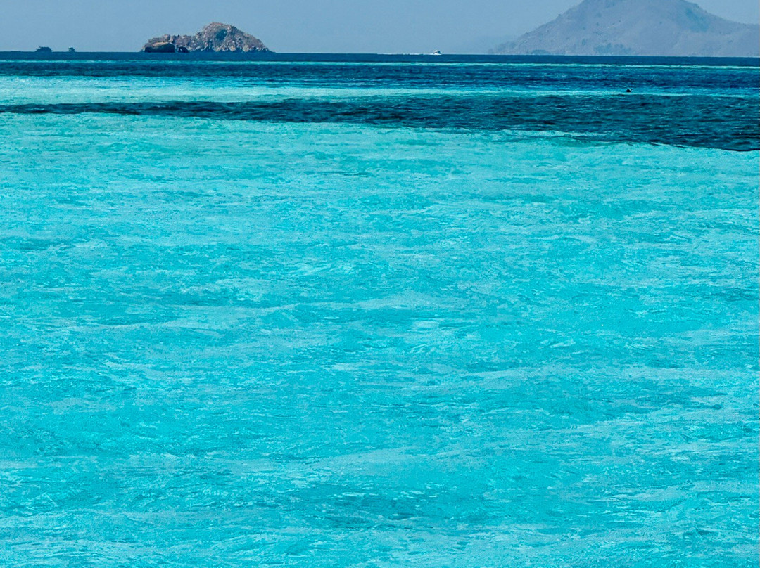 Komodo local tour-科莫多必去景点