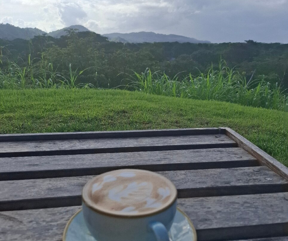 Alaya Panama-Isla de Canas必去景点