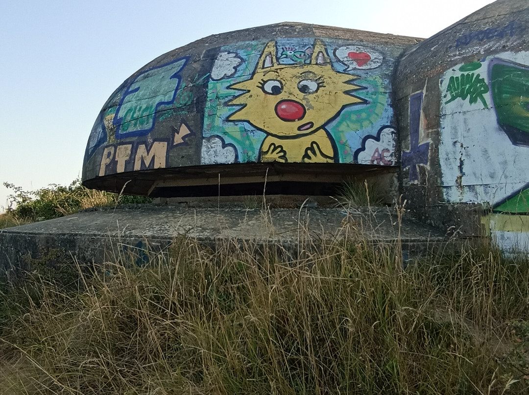 Pointe de Suzac-Saint-Georges-de-Didonne必去景点