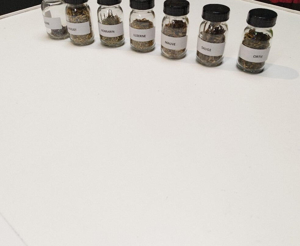 Body Nature-Nueil-les-Aubiers必去景点