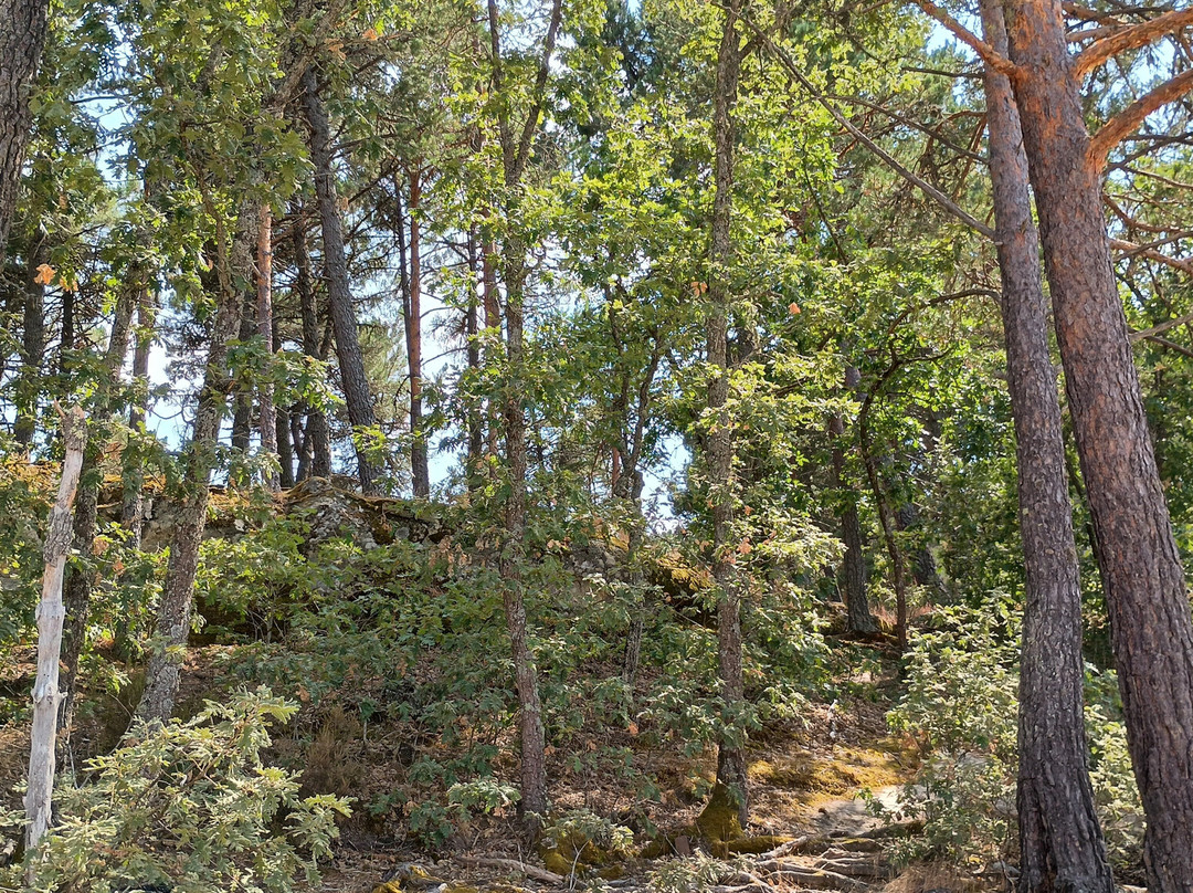 Playa Pita-索里亚省必去景点