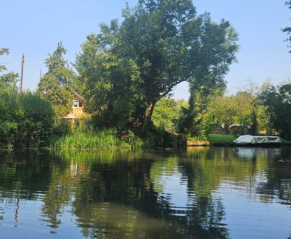 Spreewald Biosphere Reserve-Raddusch必去景点