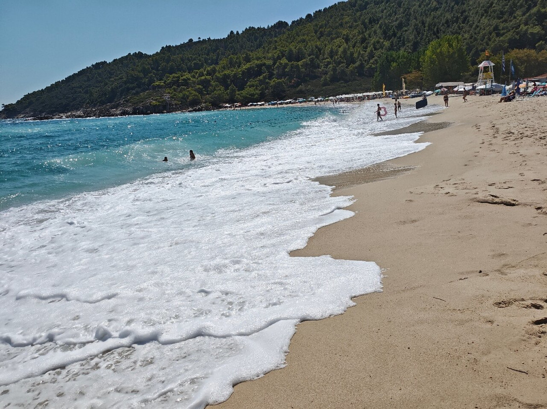 Platanitsi Beach-Sarti必去景点