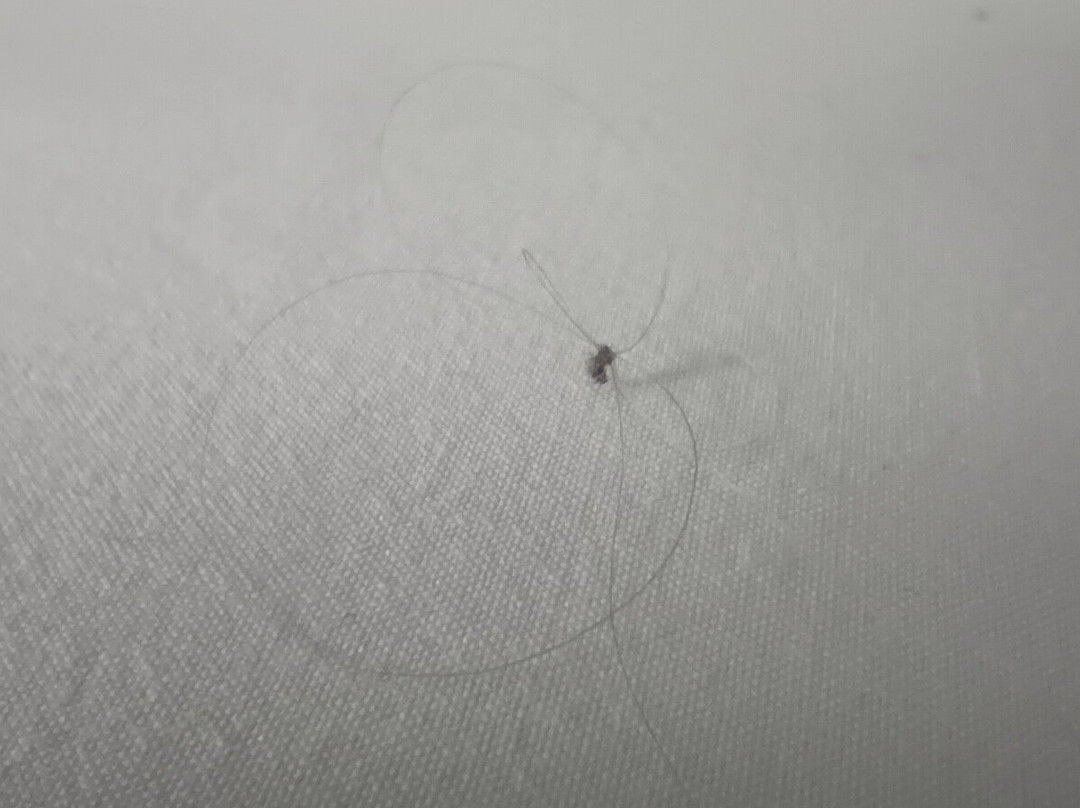 Days Inn by Wyndham Dayton Huber Heights Northeast主图