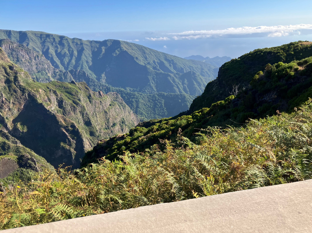 Nature Express Tours-Camara De Lobos必去景点