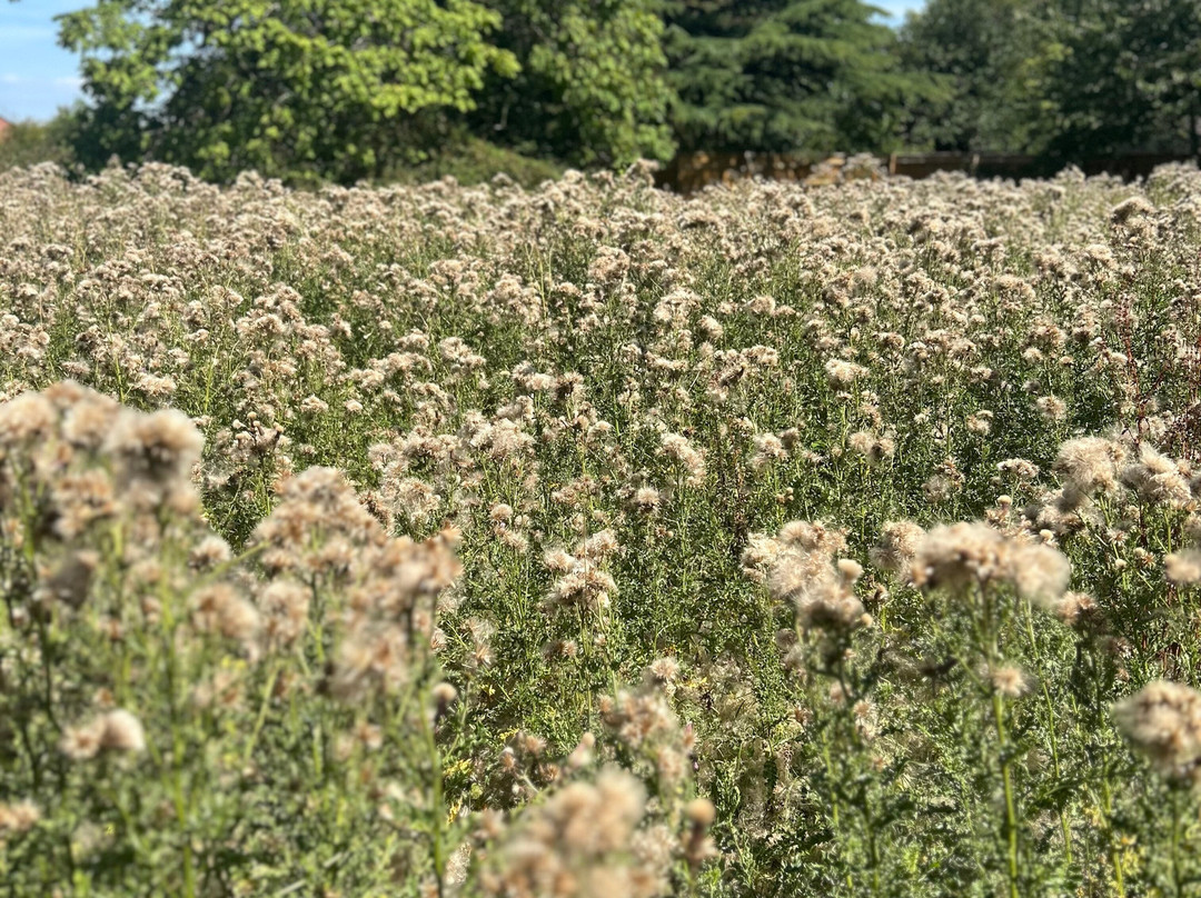 Lincolnshire Wolds Railway-Ludborough必去景点