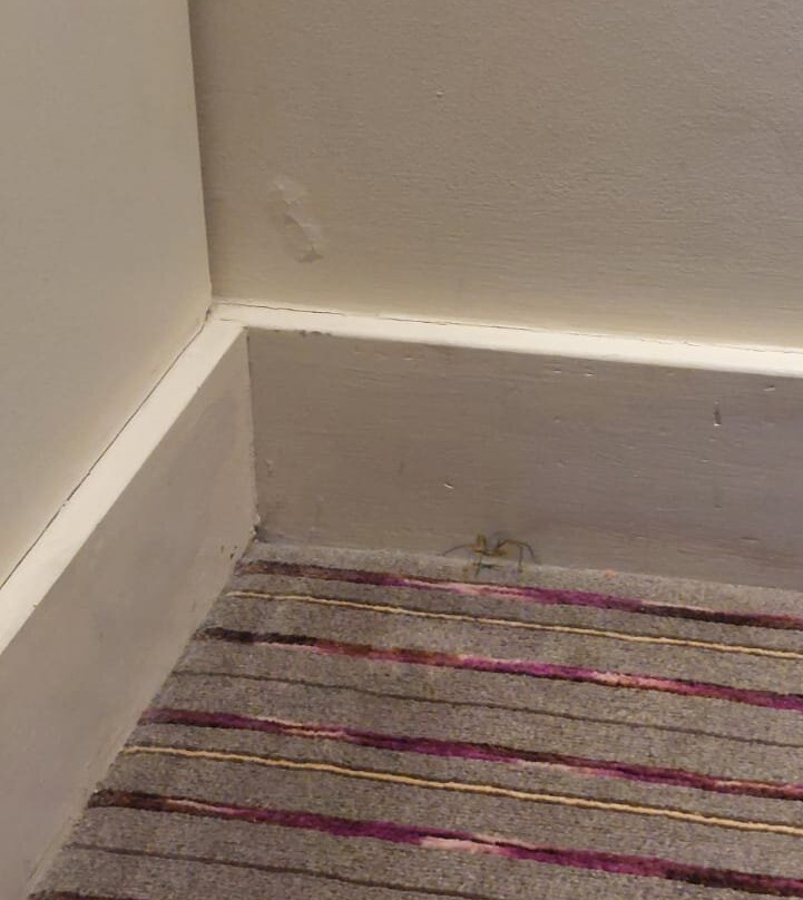 普雷米尔酒店莱斯特中央 - A50主图