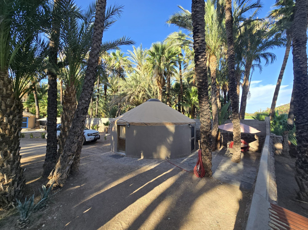 Ignacio Springs Bed & Breakfast主图