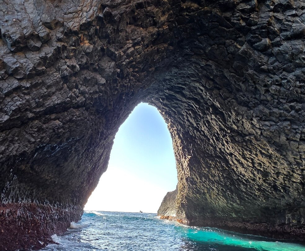 Advance Fishing-金斯敦必去景点