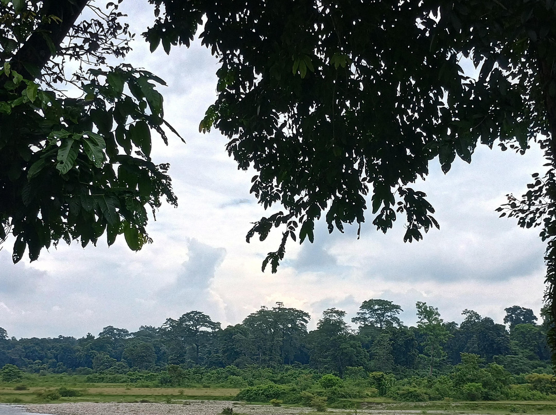 Murti WBFDC Lodge主图