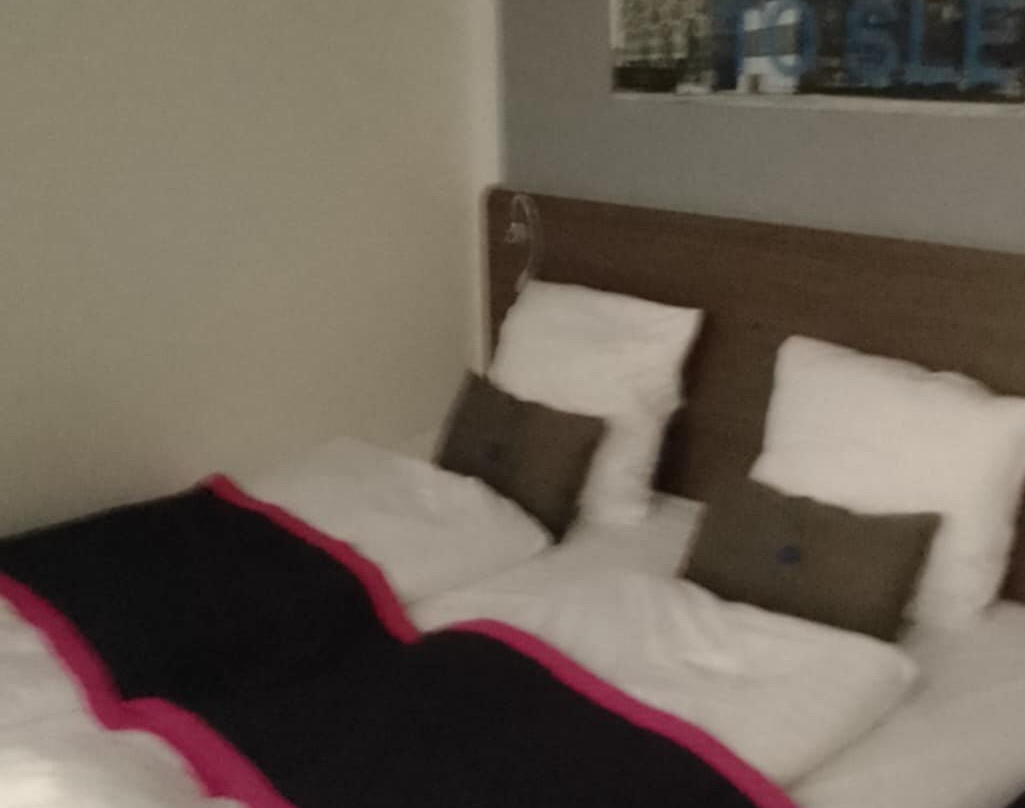 欧登塞卡宾酒店主图