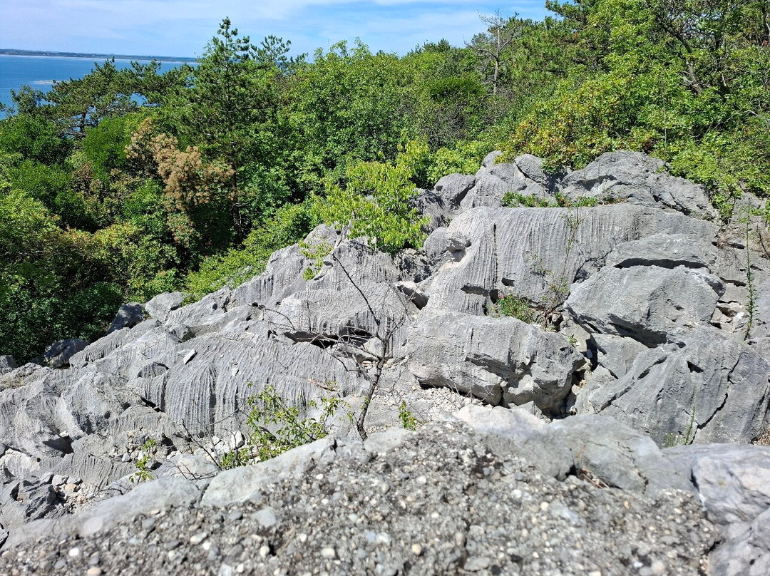 Sentiero Rilke-Duino必去景点