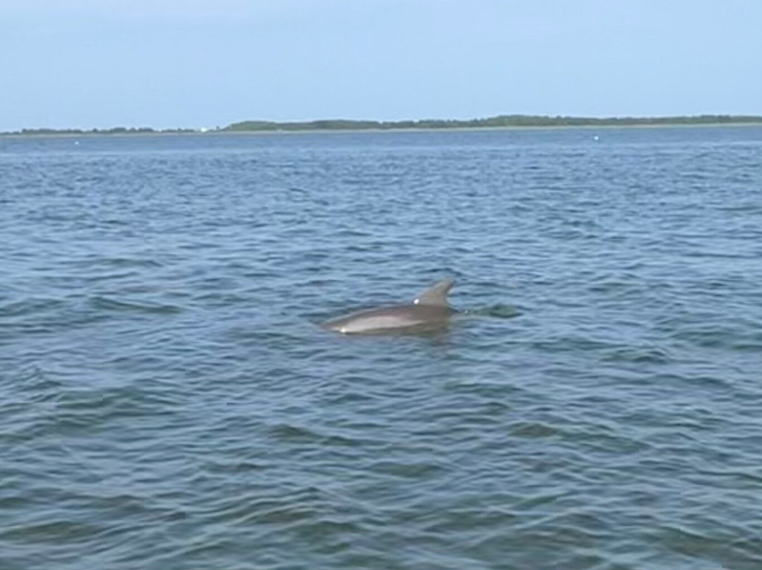 Kitty Hawk Kites - Nags Head-纳格斯海德必去景点